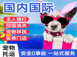 庆阳航空托运国际宠物托运 【国